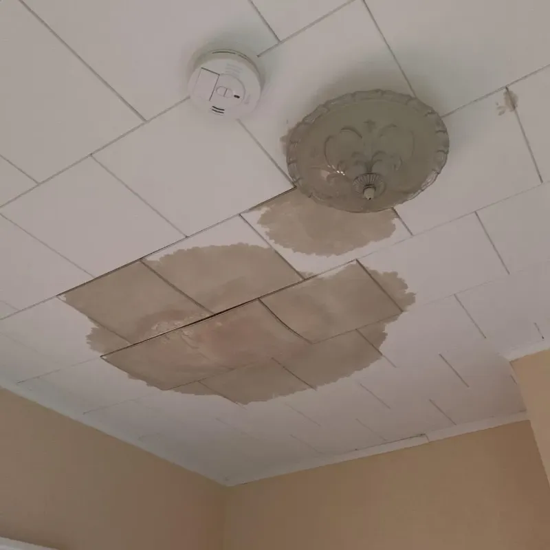 Ceiling Water Damage Repair in Crowley, LA
